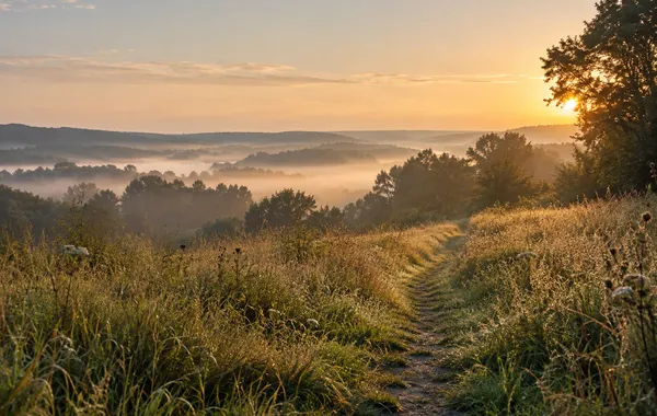 Warm dawn light across a quiet path