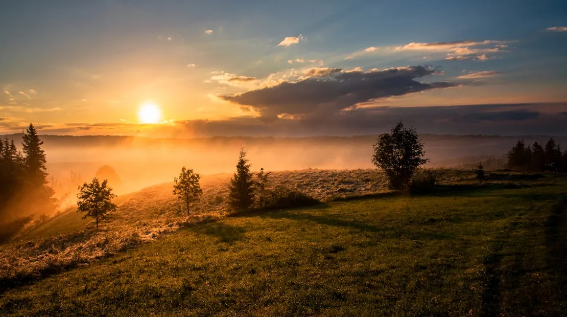 Soft morning light across a misty meadow