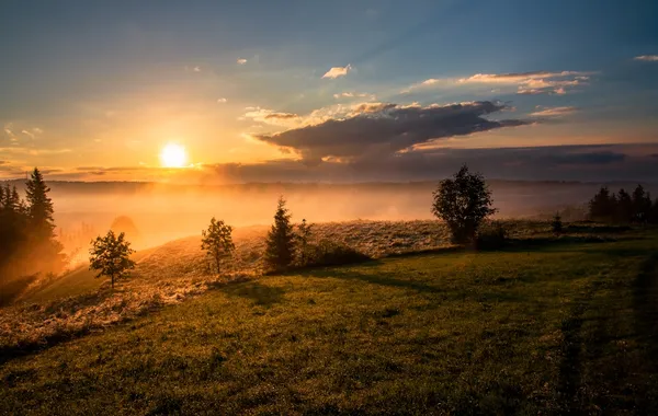 Morning light opening across a quiet meadow